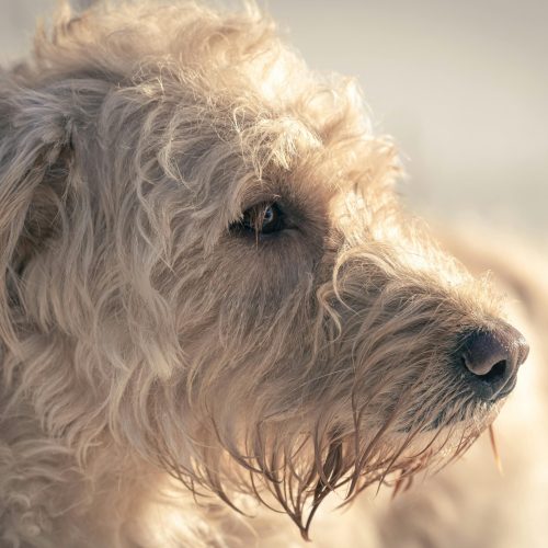 pexels karl byron 568836130 30163503